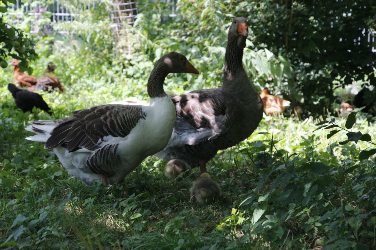 Doellelhof Erding Daire Dış mekan fotoğraf